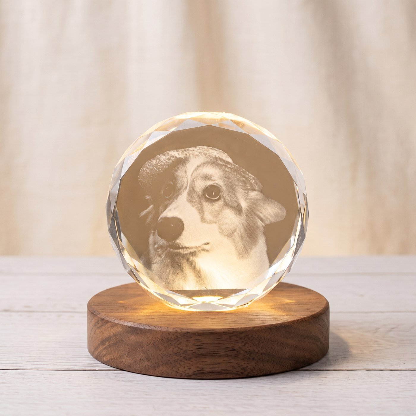 Kristallblock med hundfoto på LED-bas