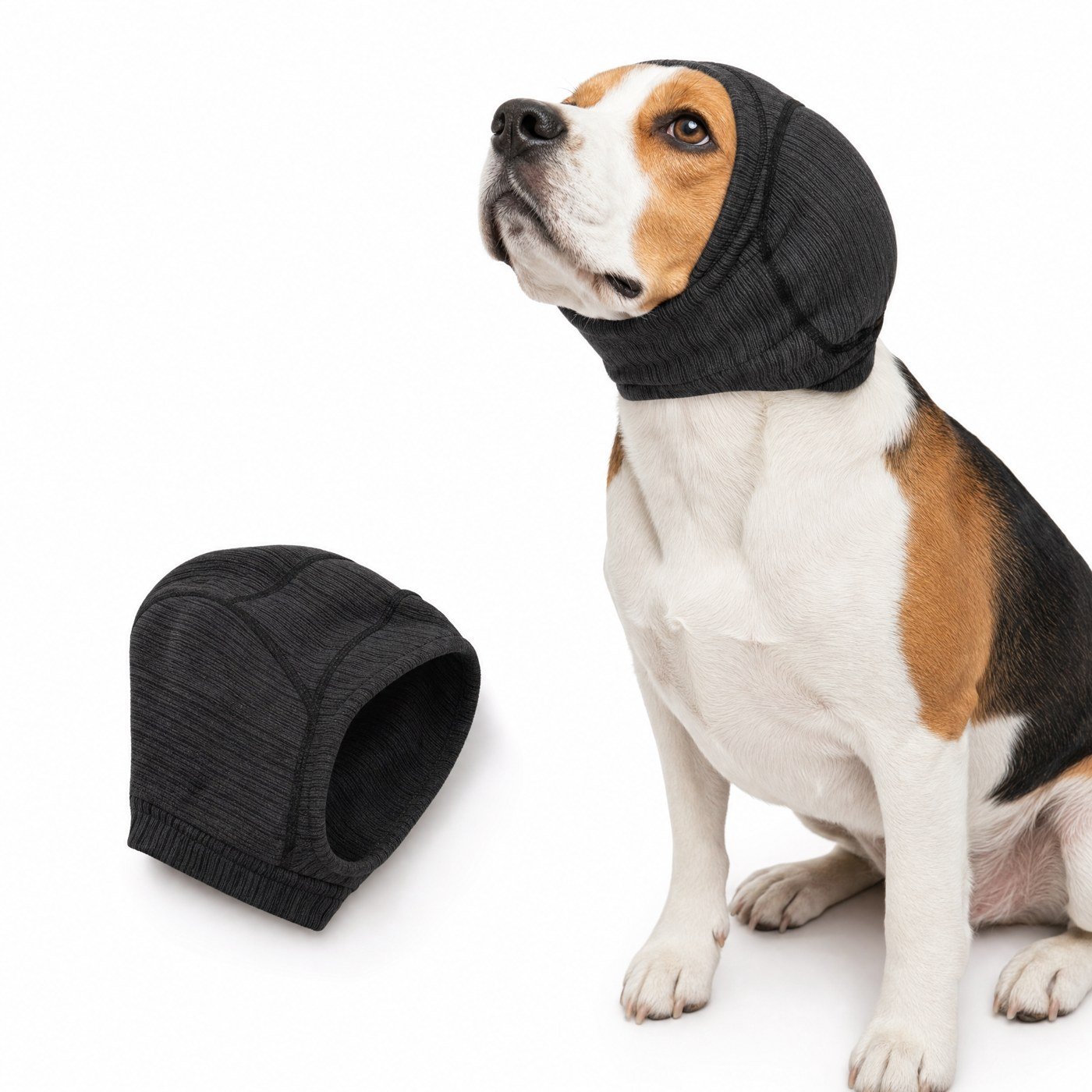 Ljuddämpande stretchskydd på hund