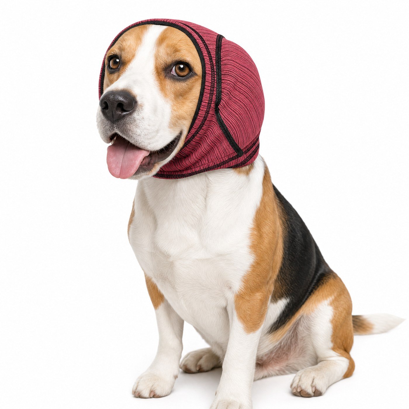 Hundöronskydd med snörlås — passform