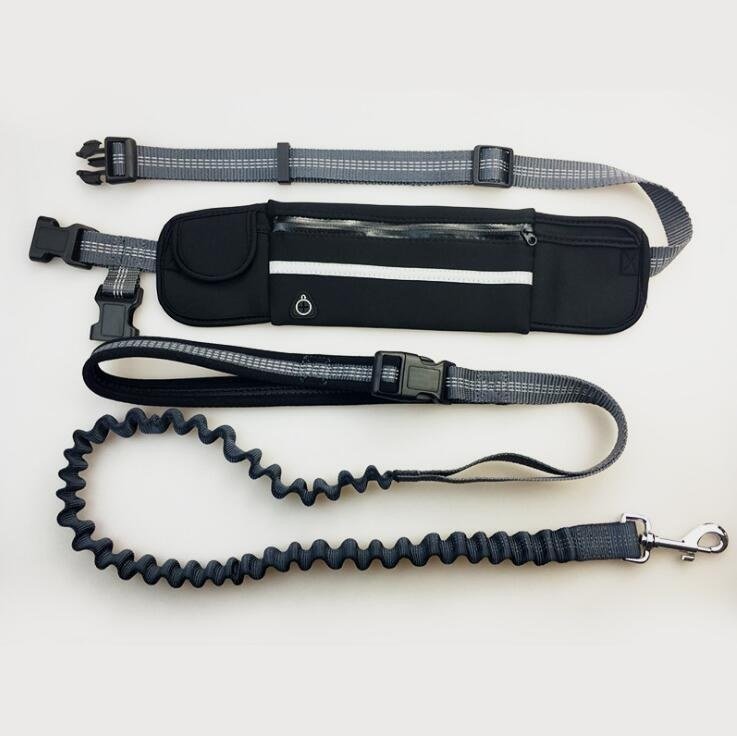 Löpare med hund i hands-free koppel