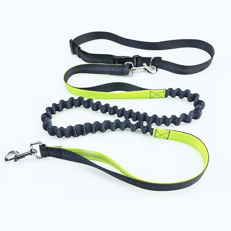 Hands-free löparkoppel — detaljvy